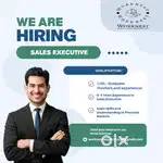 Field Sales Executive