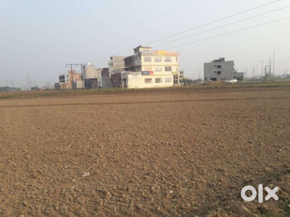 TDI City 280 Yard Single Lane Plot Sector 118 Mohali