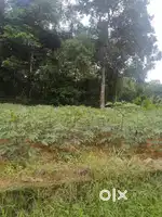 House Plot