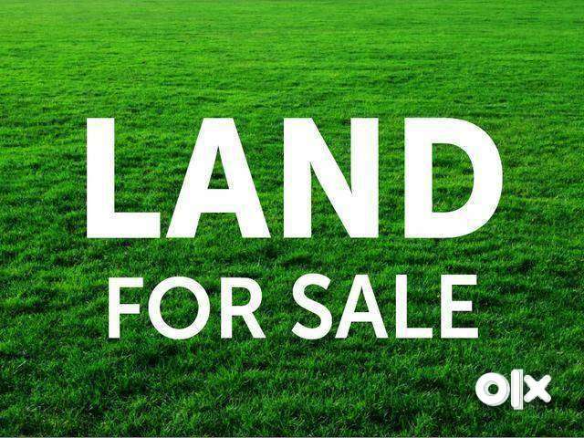 32cent parambu Commercial plot  for sale near pudoor pirayiri