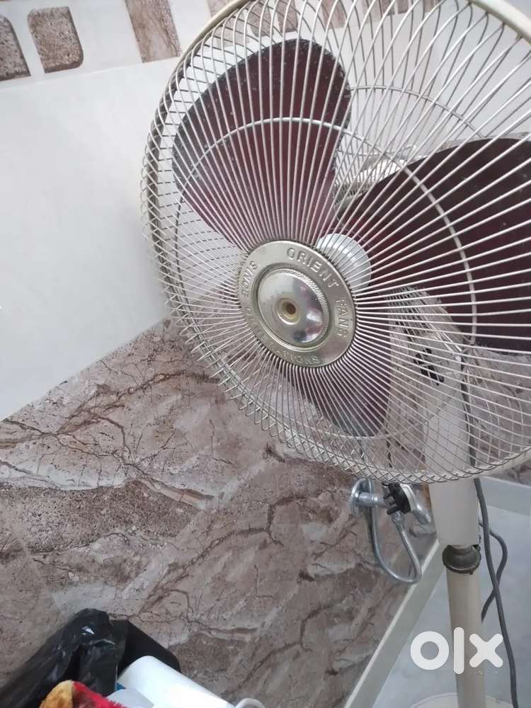 Orient Stand fan