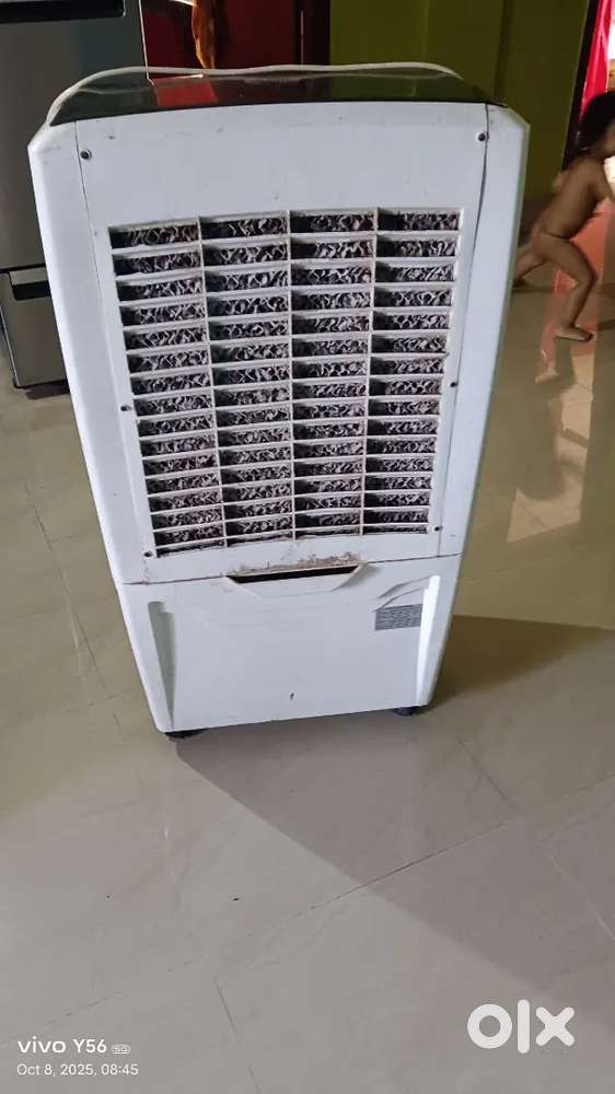 Summer brand coller