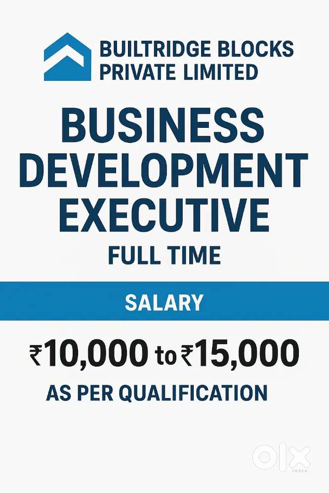 Business development executive