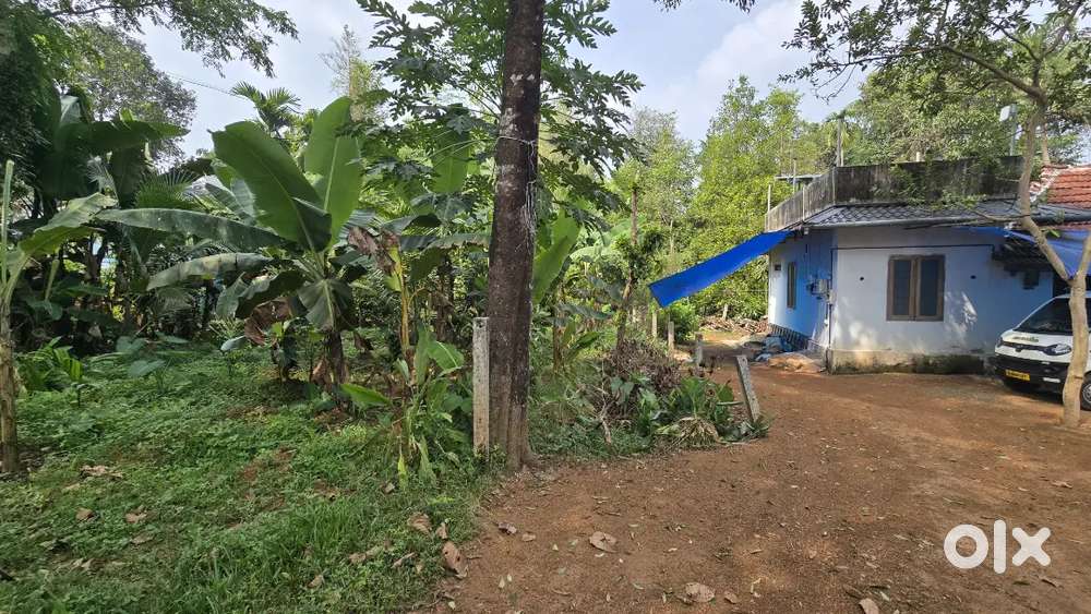 Chalakkudy murigoor annanadu 17 cent house plot for sale immediately