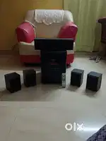 Organic company home theatre