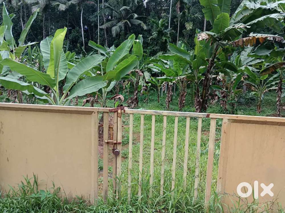 40 area levelled land.