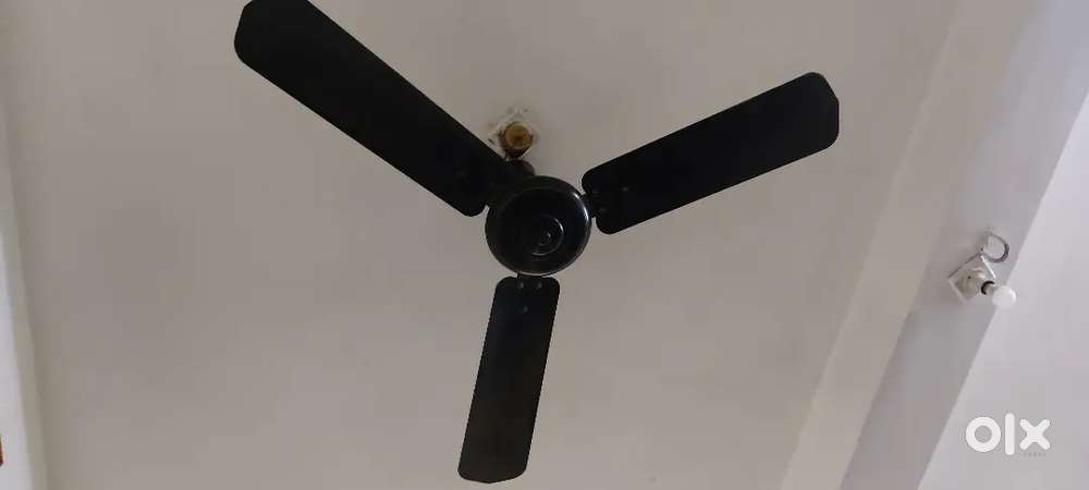 Cinny celling fan 56 inch