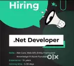 C hash, dot Net Developer..