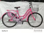 Rising India all type of bicycle for wholesale