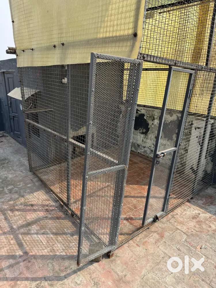 Big Birds Cage