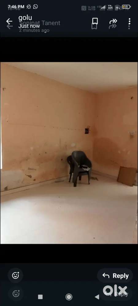 1 bhk flat for rent