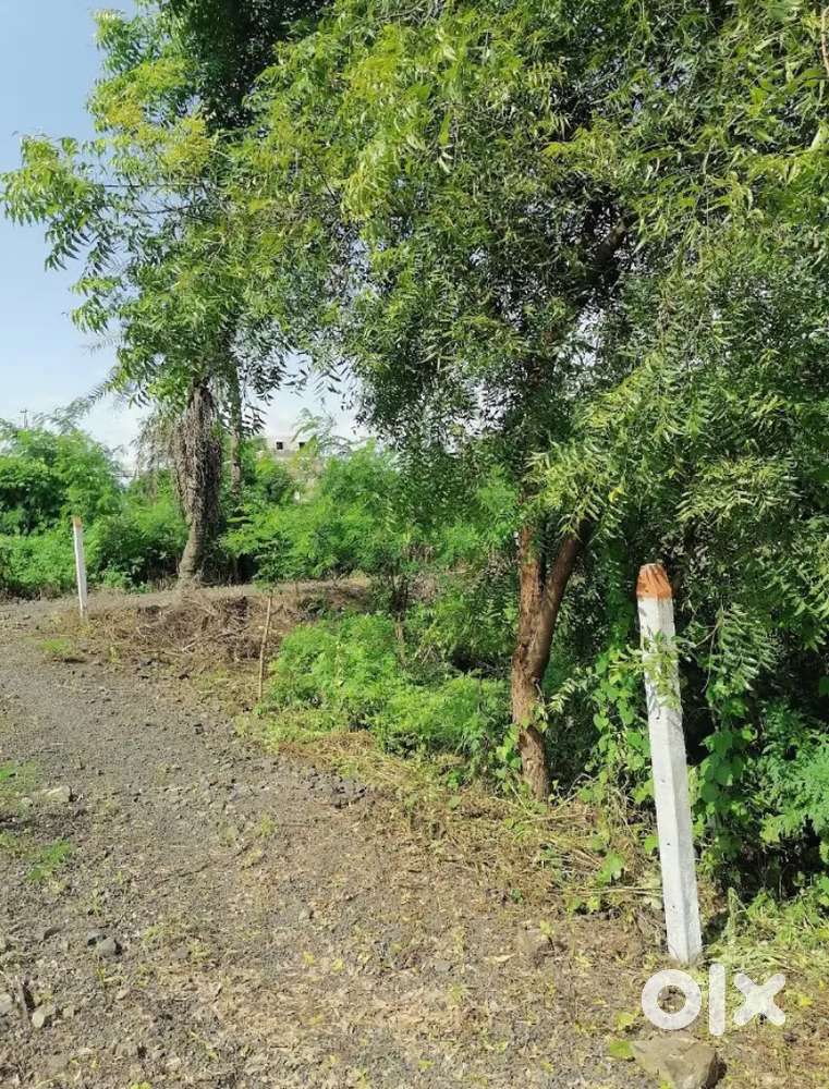 NIGHOJE PLOT FOR SALE (Chakan)