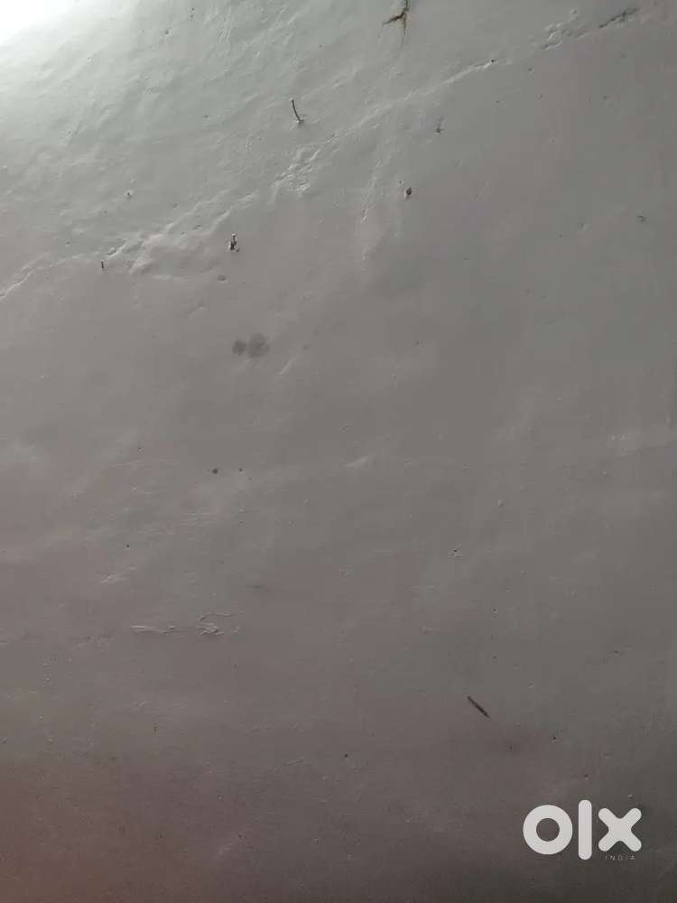 For Indian department