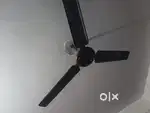 Ceiling Fan