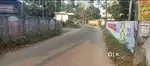 7 CENT ORGINAL LAND IN KOONAMMAV VALLUVALLY MAIN ROAD JUST 50 meeter