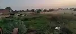 250 gaj plot in panchwati colony Palwal near omaxe flats.