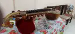 Veena string instrument