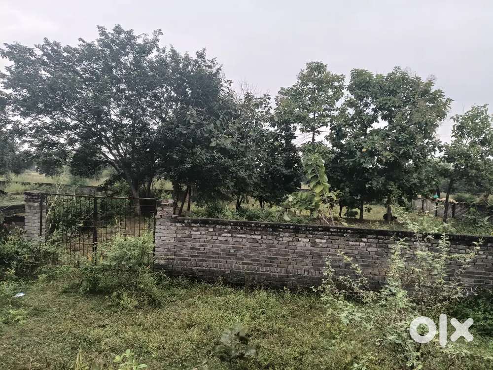 13000 sqft commercial plot for sale