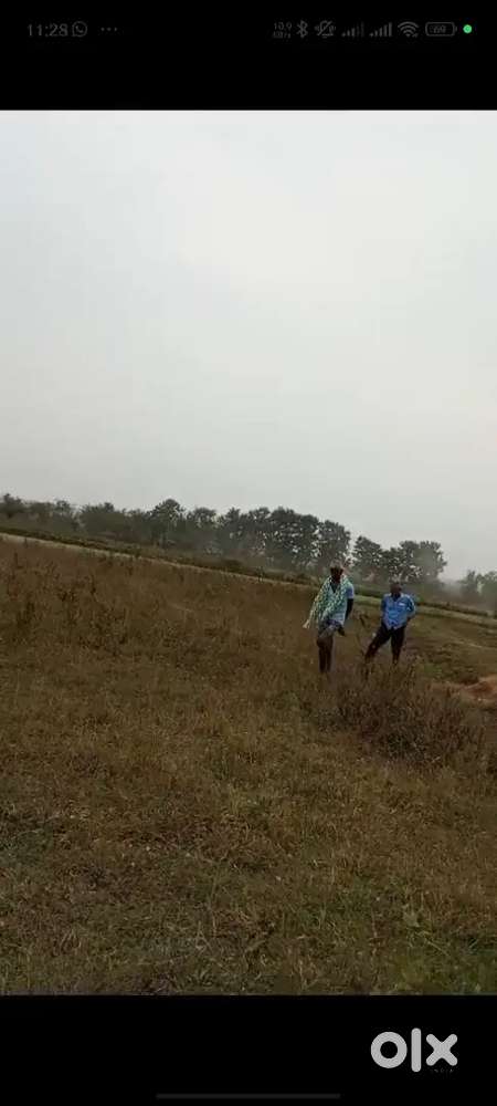 Plot available for sale near jogiyapalli mouja near ring road