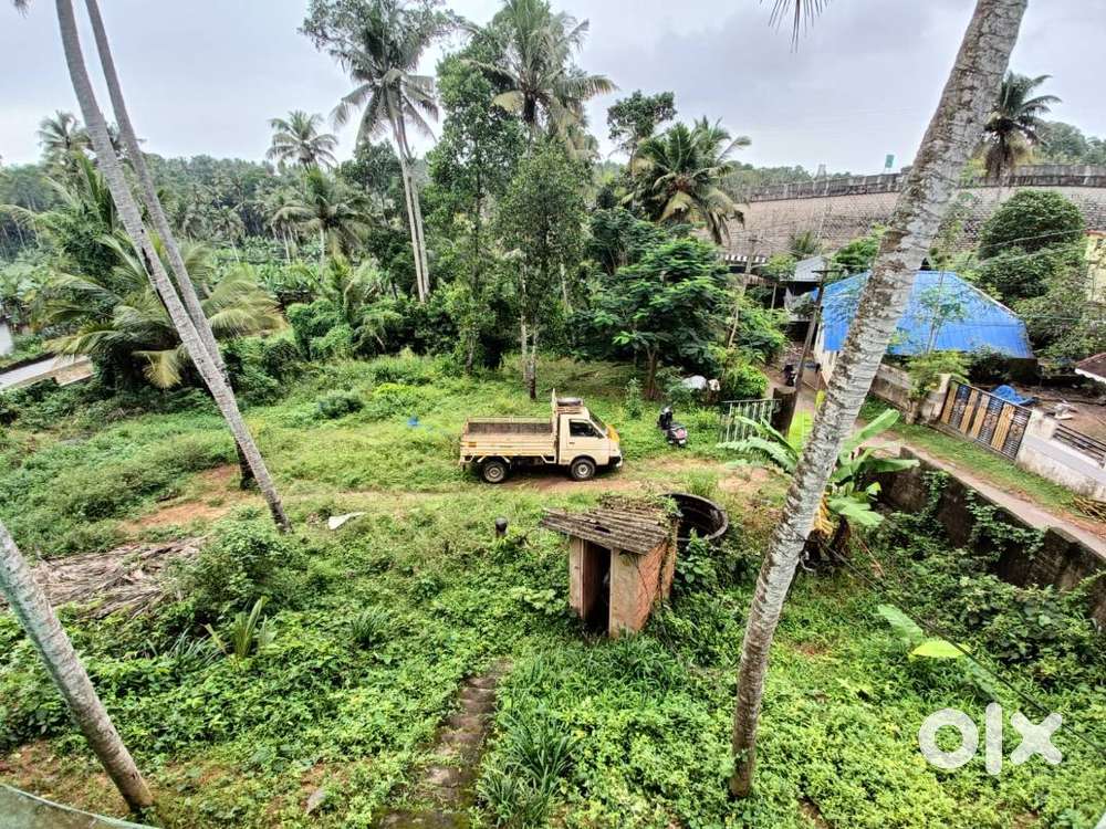 Plot 50Mts Near NH66