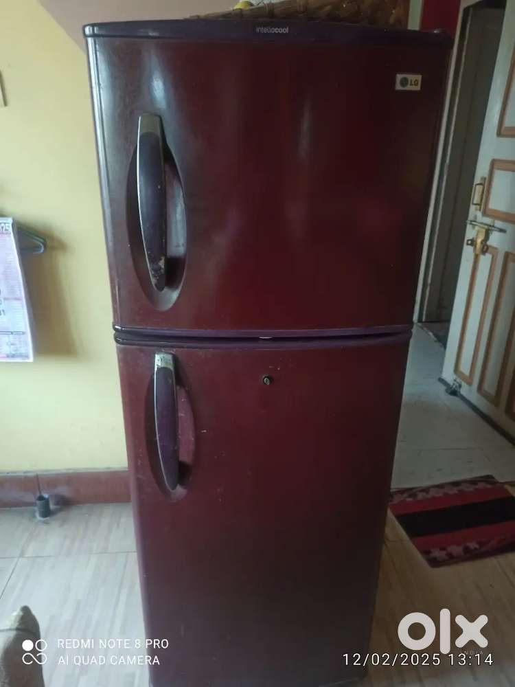 Lg freeze doubel door