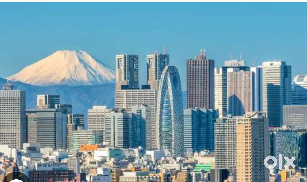 Japanese MNC Requires Customer support Work from home