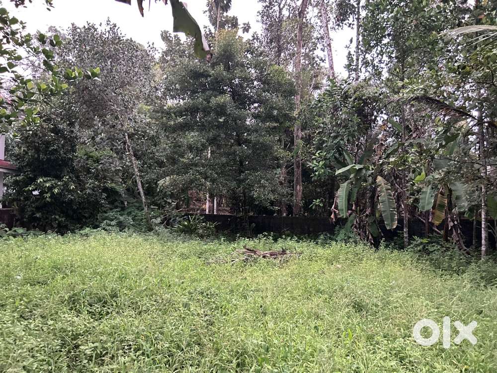  വിൽപ്പനയ്ക്ക് മനോഹരമായ സ്ഥലം – കറുകച്ചാൽ, നേത്തല്ലൂർ