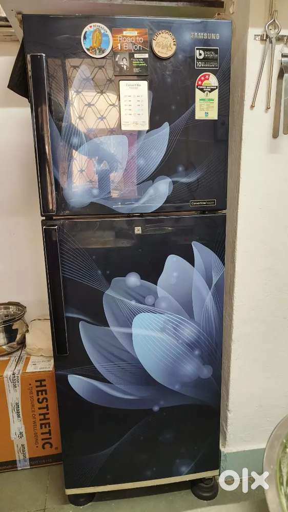 Samsung 253 L Refrigerator Double door