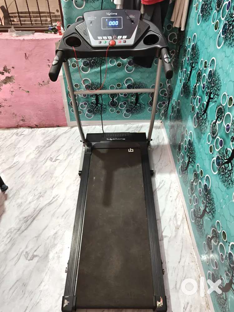 Lifelong Treadmill