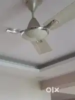 Ceiling fan orient gratia
