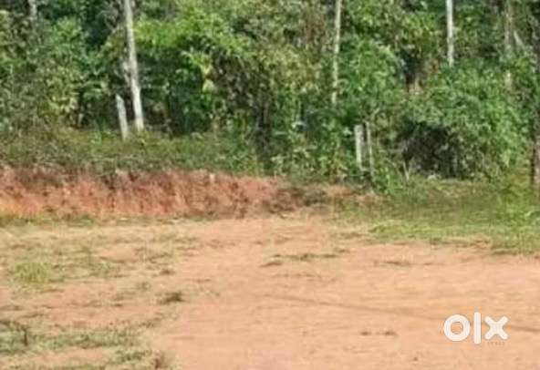പനമരത്ത് 10 സെന്റ് ഹൗസിംഗ് പ്ലോട്ട് വിൽപ്പനയ്ക്ക്