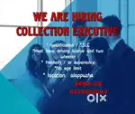 Collection executive