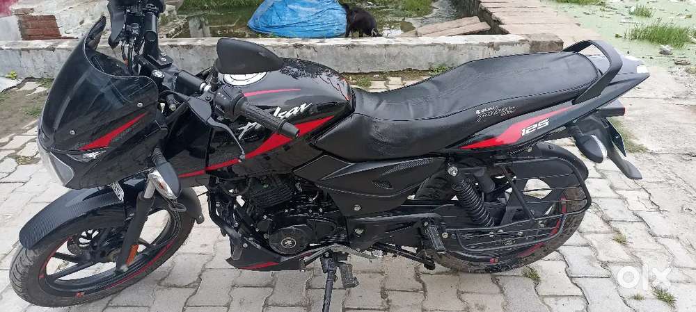 Pulsar 125 , 2025 May