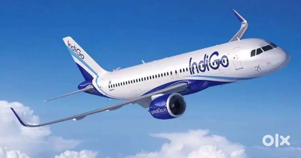 Indigo Airlines urgent hiring for ground staff jobs vacancy Available