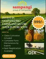 Agriculture farm lands in SAMPANGI GROUP
