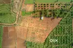 3 Acres Fertile Farm Land