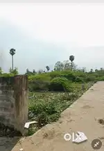 Residential Approved Kaspapuram Mappedu