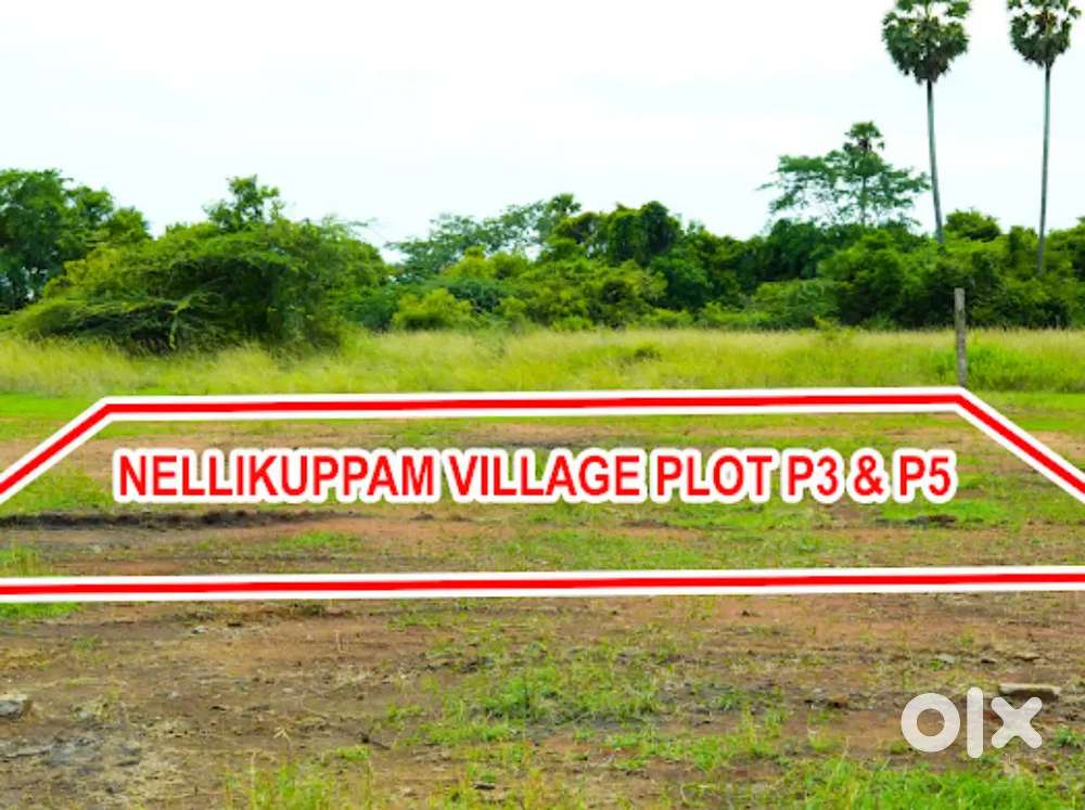 Urgent sale looking for immediate buyer@Nellikuppam