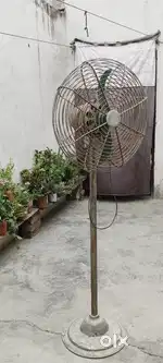 Toofan Fan