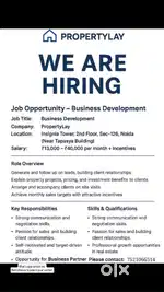 Buisness developer