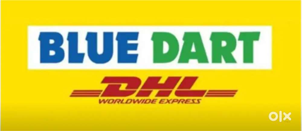 FIELD EXECUTIVE DELIVERY JOB