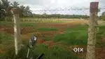 LAND FOR RENT IN KNGPUDUR NEAR BY YUVABARATHI SCHOOL