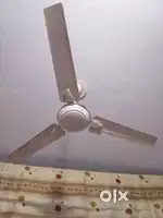 Bajaj celling fan