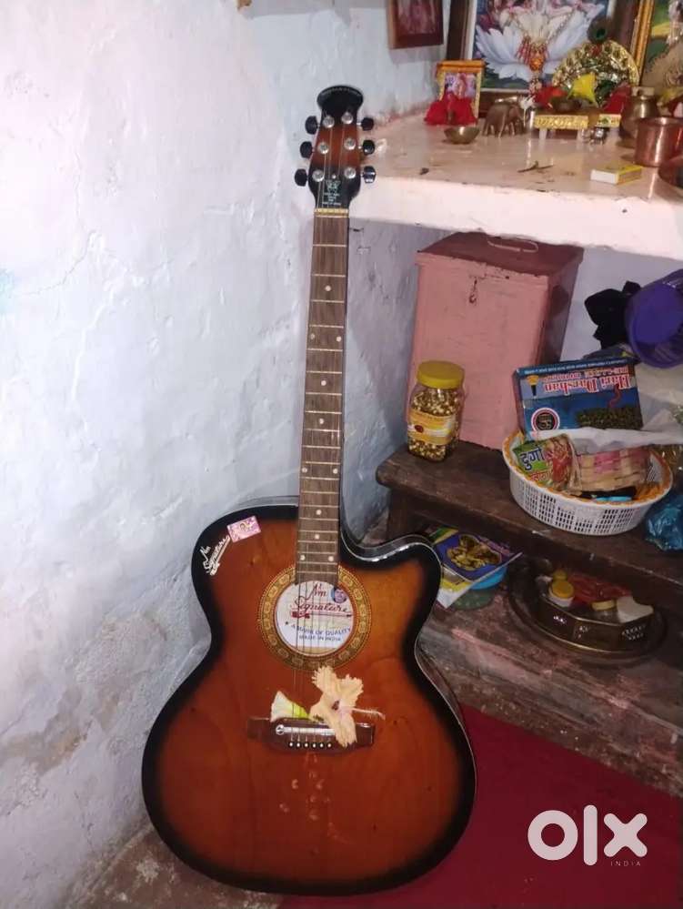 Professional guitar