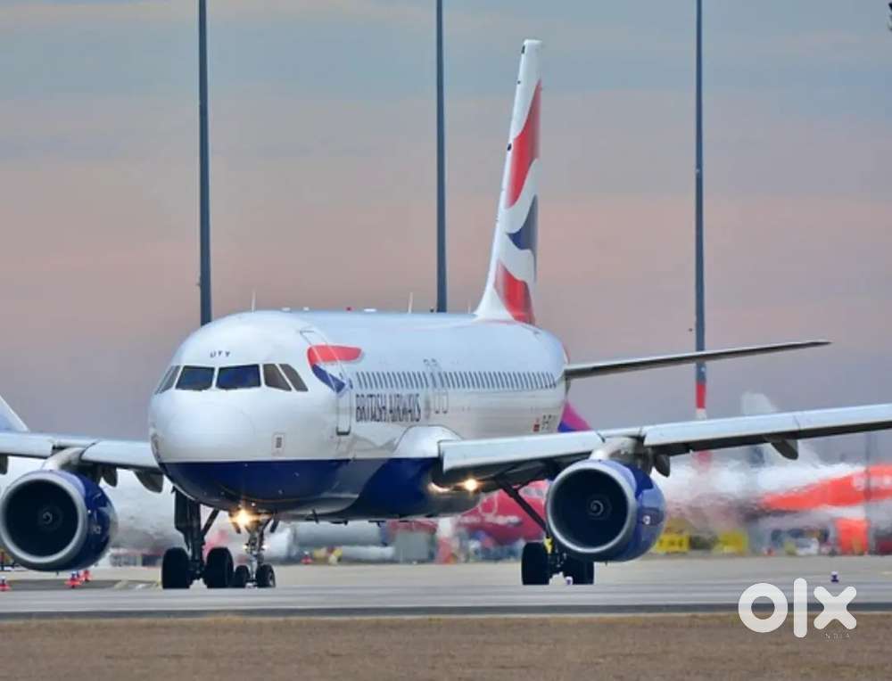 Candidate required for airport job