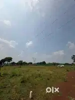 Near CCM government hospital kurud Bhilai