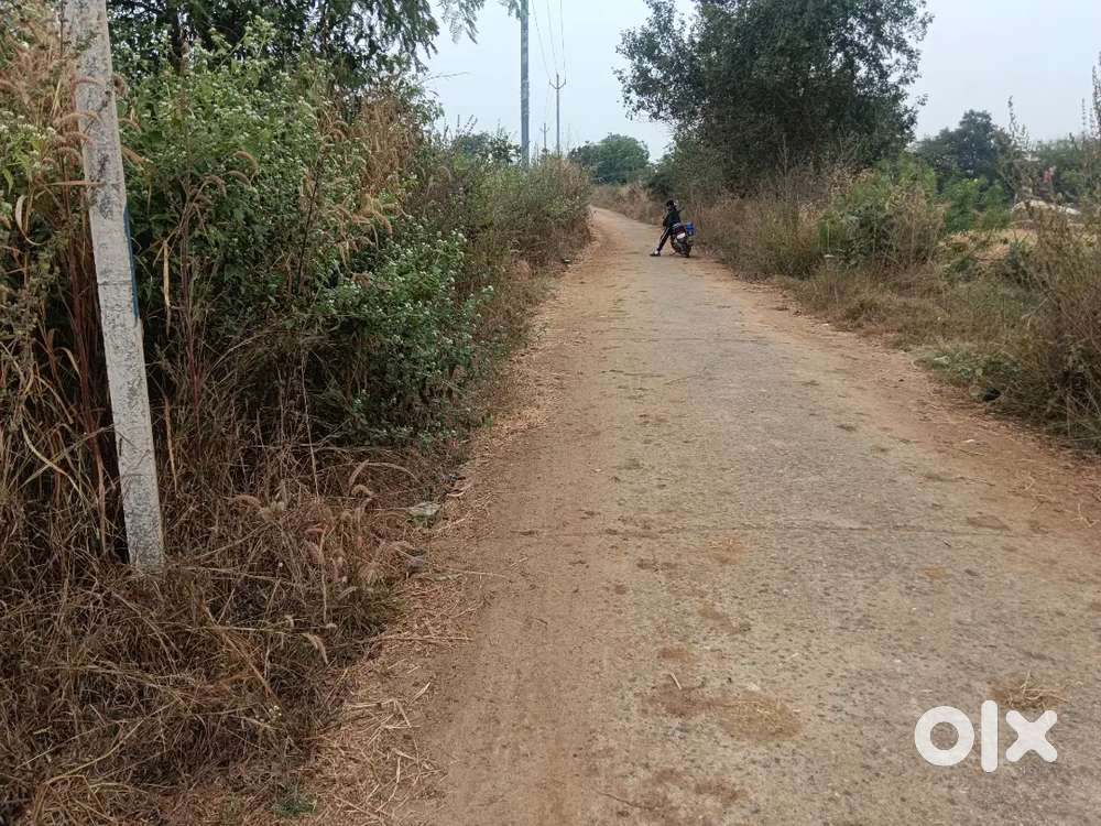 Near Aadarsha vidyalaya Gobindpur Bargarh,7 dhismil,For sale SC plots