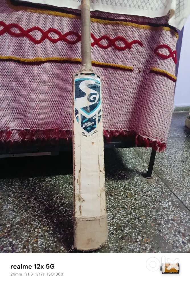 Kasmir willow cricket bat