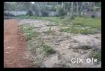 ചേർത്തല ബോയ്സ് ഹൈസ്കൂളിന് സമീപം.