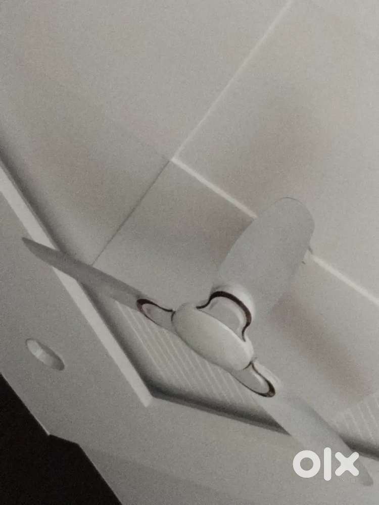 Fan sale in good condition